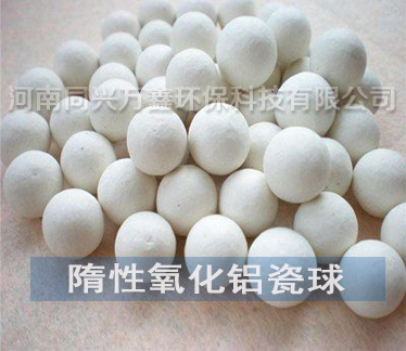 ���������X����